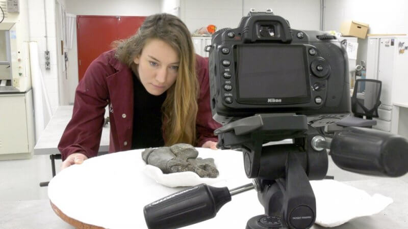 Amy Kowalchuk working to digitize a fossil sample at the Royal Tyrrell Museum. She said the techniques she has learned through AU's Heritage Resources Management program have helped her improve her technique.