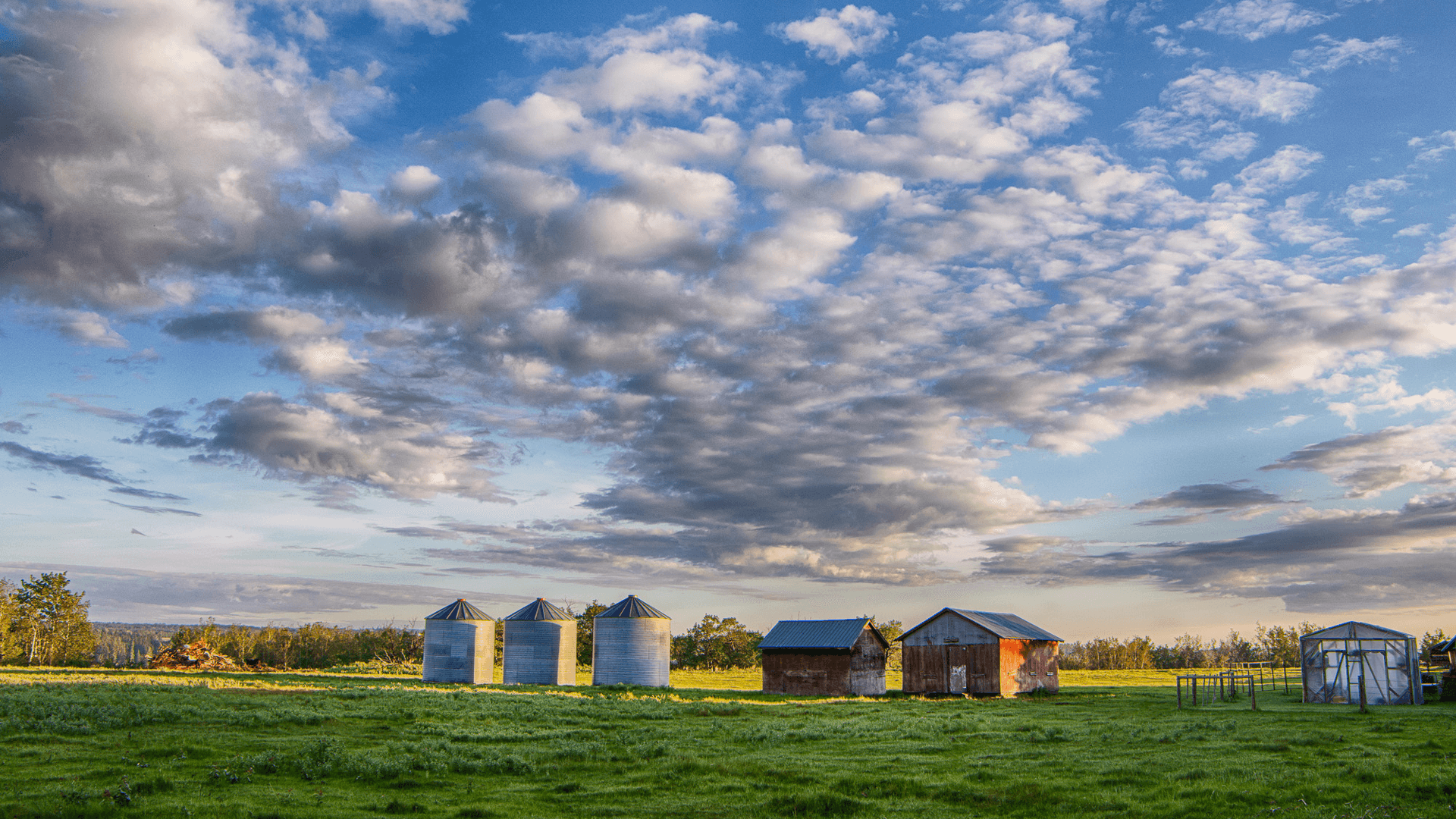 Farm in rural Alberta with grain bins and building, blue sky and clouds with green grass