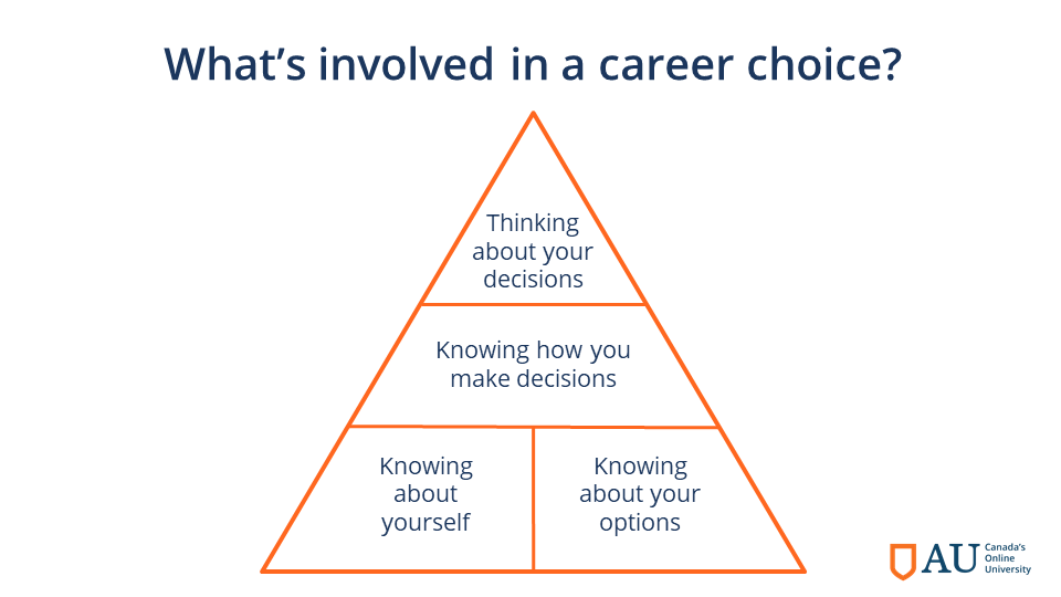 Career choice pyramid