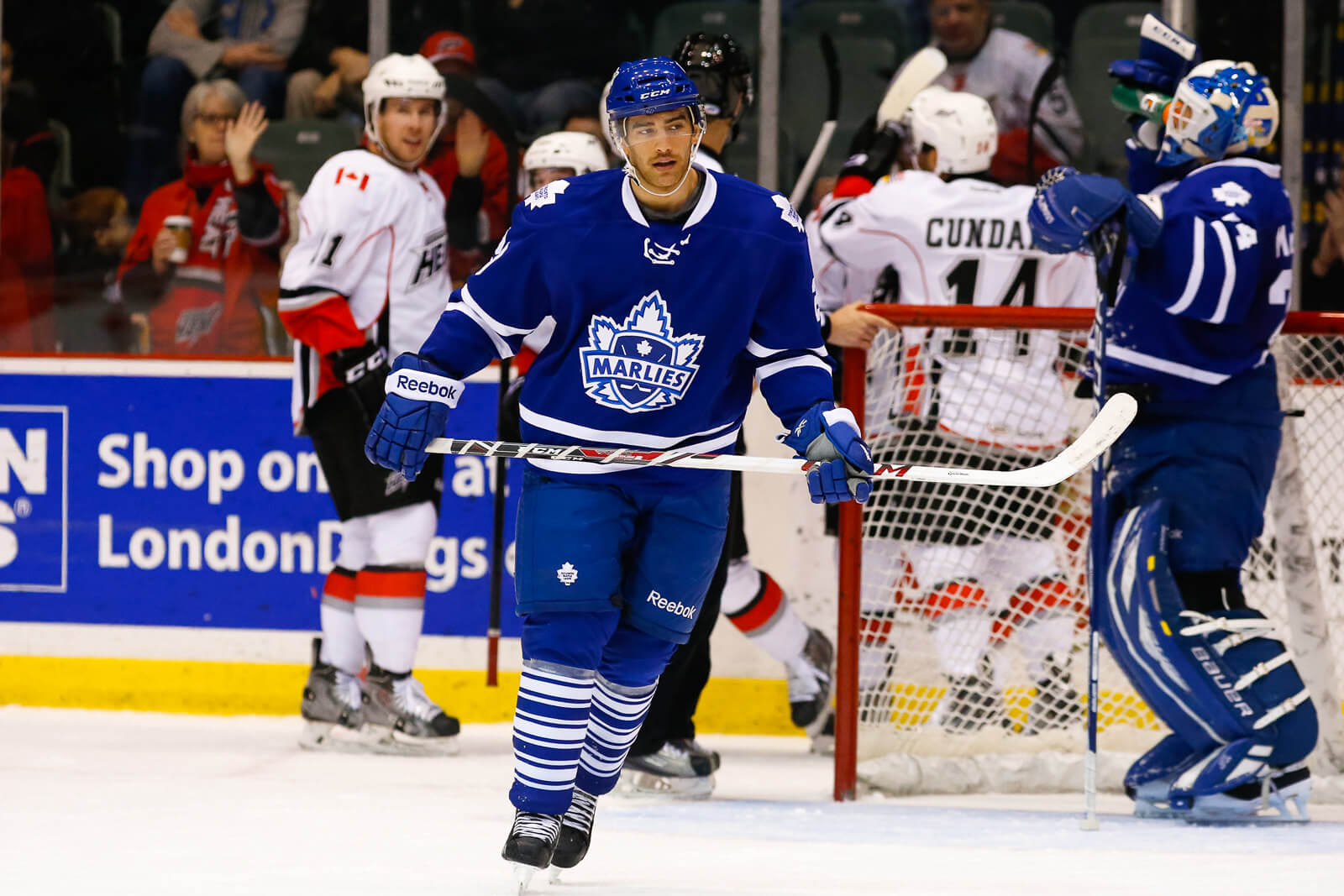 Andrew Crescenzi playing with the Toronto Marlies