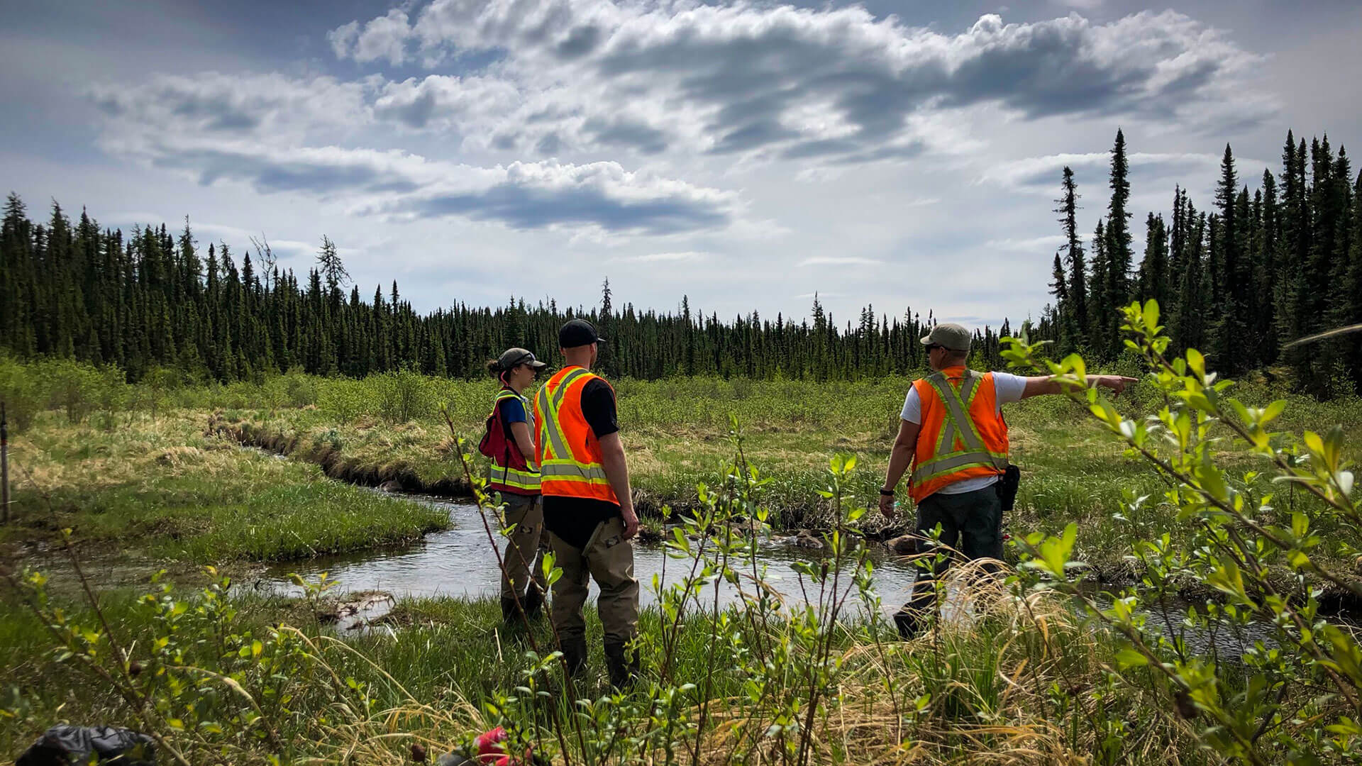 research team in a wetland bog