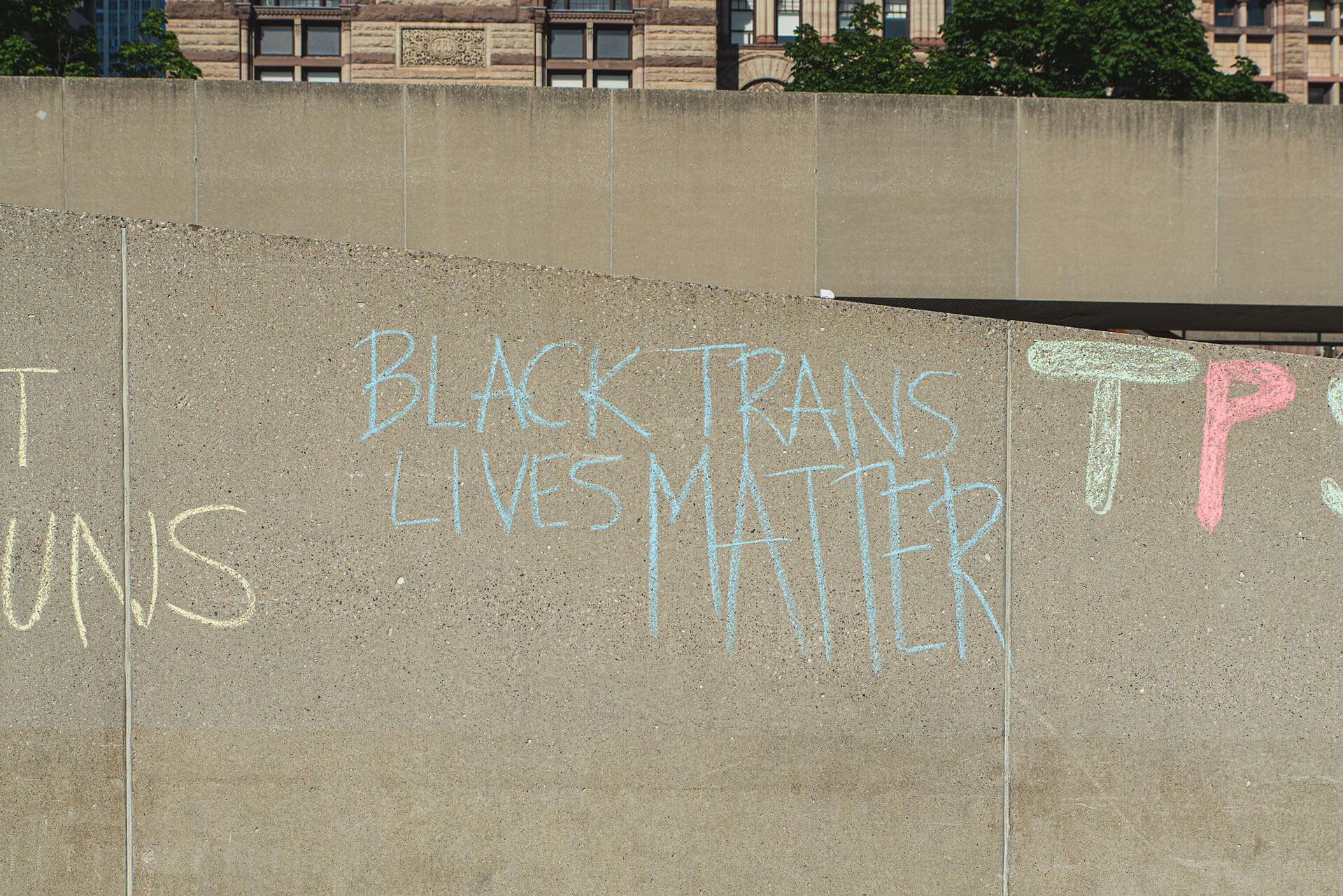 Black Trans Lives Matter sign