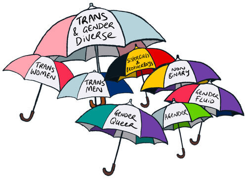 A group of umbrellas showing how different gender identities and expressions can fit within the same umbrella term.