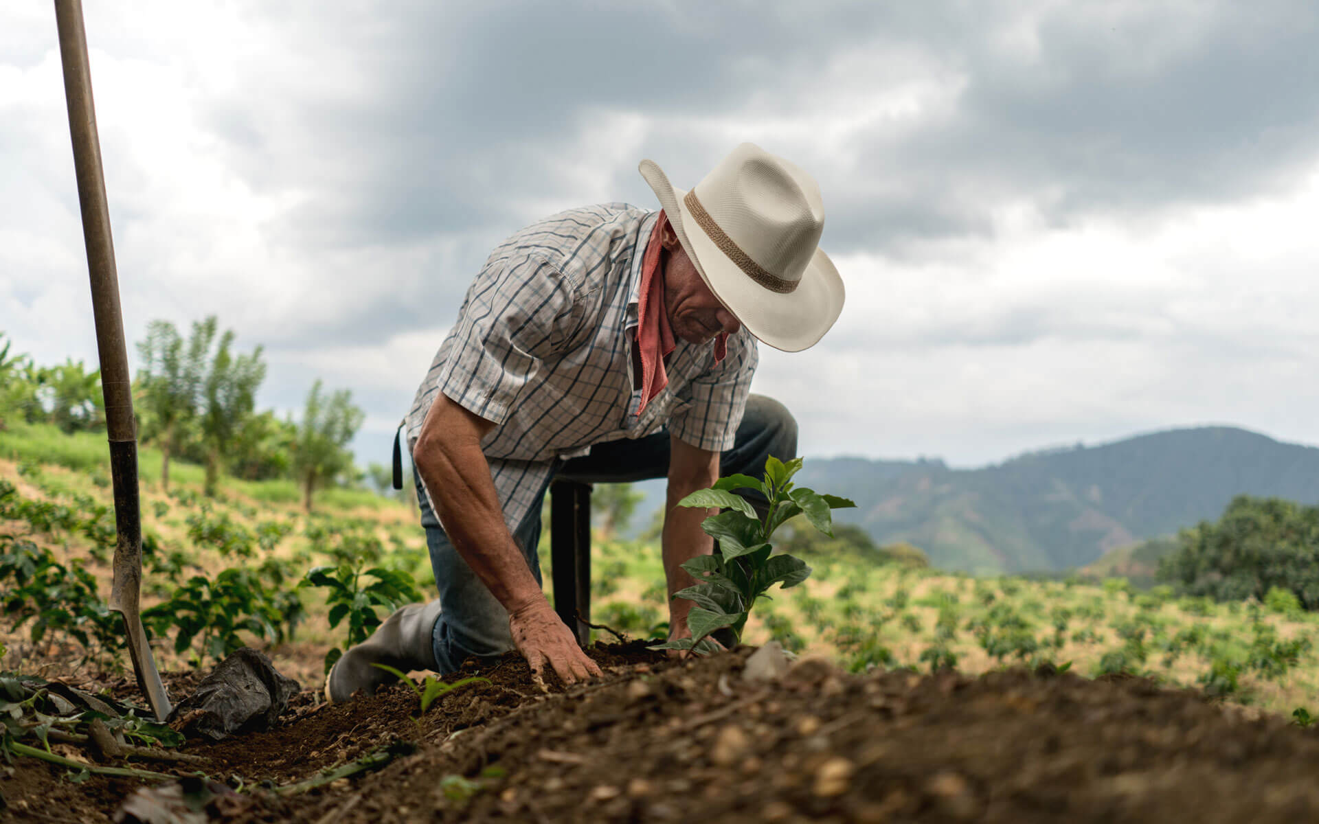 Latin American man sowing the land at a sustainable farm